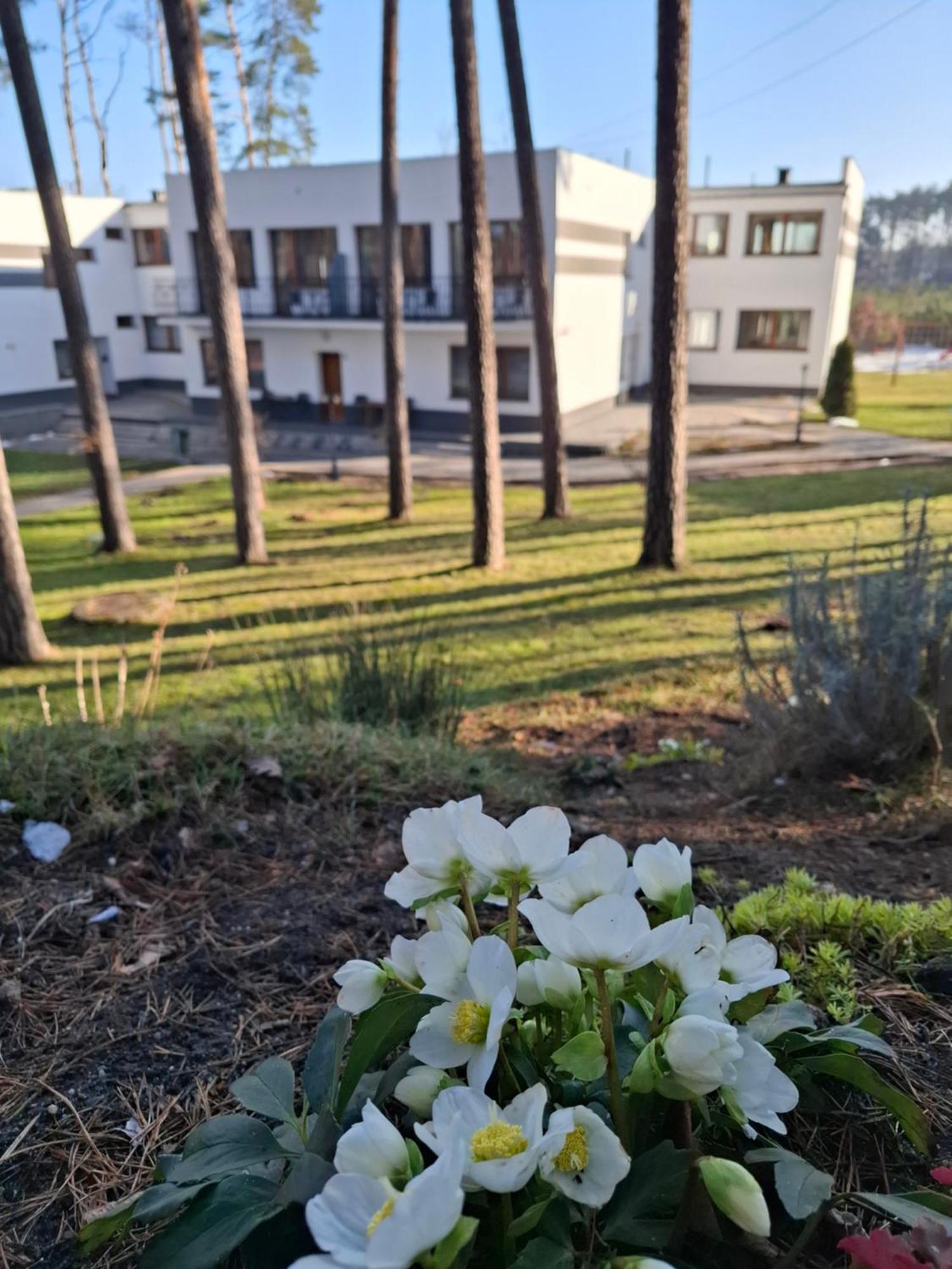 Resort Wodnik Turawa